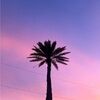 jenscloset2714